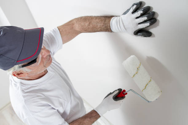 Best Commercial Mold Inspection  in Humansville, MO