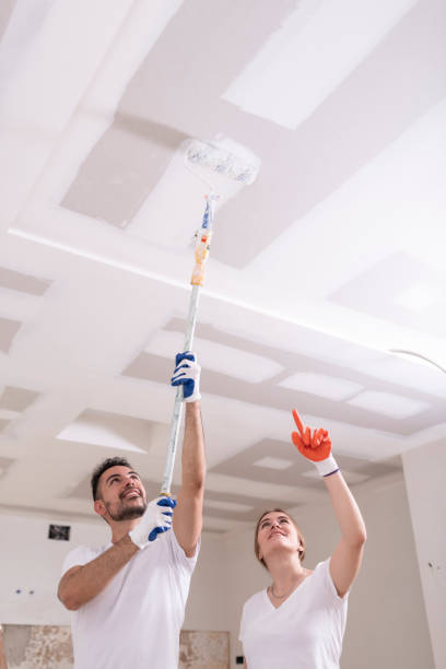 Best Industrial Mold Remediation  in Humansville, MO